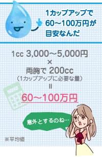 ヒアルロン酸豊胸の費用例