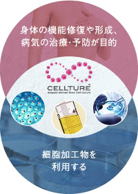 再生医療の定義