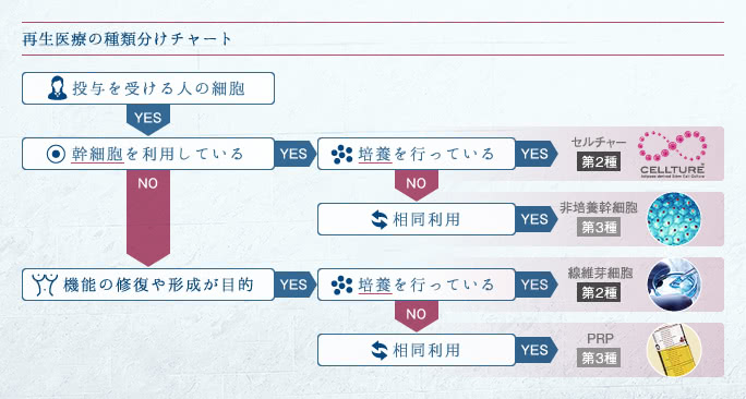 再生医療の種類分けチャート