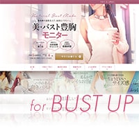 美・バスト豊胸モニター