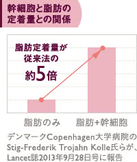 脂肪注入豊胸における脂肪の定着率と幹細胞の関係のグラフ