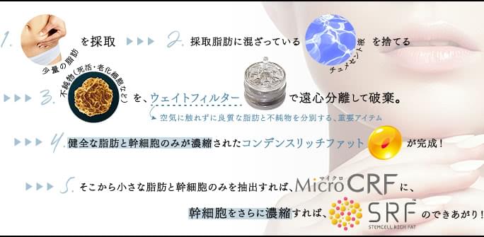 脂肪の加工プロセス