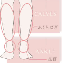 ふくらはぎと足首の脂肪吸引の費用の詳細