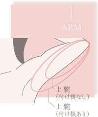 二の腕の脂肪吸引の費用の詳細