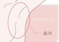 脇の脂肪吸引の費用の詳細