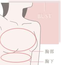 胸の脂肪吸引の費用の詳細
