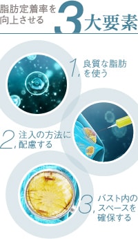 脂肪定着率を向上させる3大要素