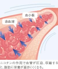 血管収縮の影響