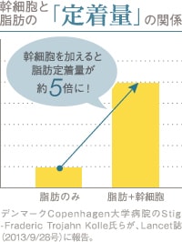 幹細胞と脂肪の定着量の関係