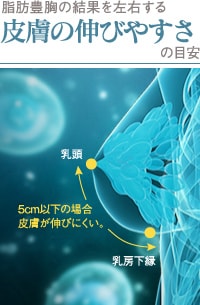 バストの皮膚の伸びやすさの目安