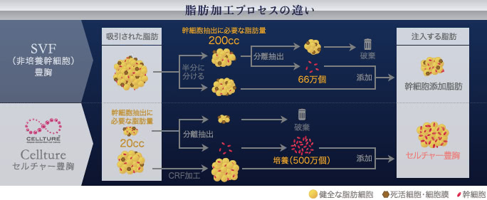 セルチャーとセリューションの違い