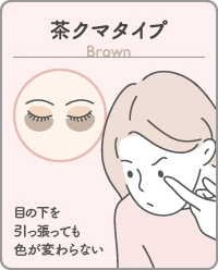 茶クマタイプ