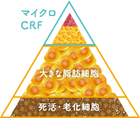 マイクロCRF