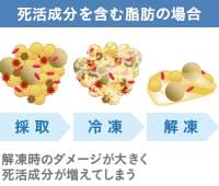 死活成分を含む脂肪は、解凍時のダメージが大きい