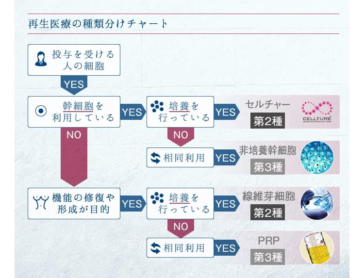 5つのステップでかんたん理解 再生医療法と美容施術 美容外科の医師監修コラム