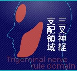 ロンバーグ病 進行性顔面片側萎縮症 の治療法 美容外科の医師監修コラム