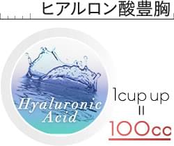 100 1000 の豊胸を完全シミュレーション 症例画像もアリ 美容外科の医師監修コラム