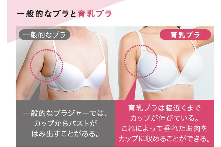 バストアップサプリ 育乳ブラに効果はアリ ナシ ドクターが検証 医師監修コラム