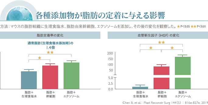 エクソソームが脂肪の定着に与える影響