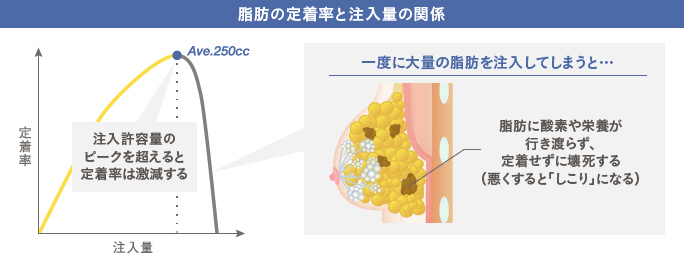 脂肪の定着率と注入量の関係