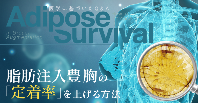 脂肪注入豊胸の定着率に関するQ&A