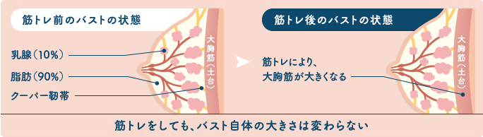 筋トレがバストに与える影響
