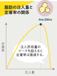 脂肪注入量と定着の関係を示すグラフ