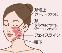 顔の脂肪