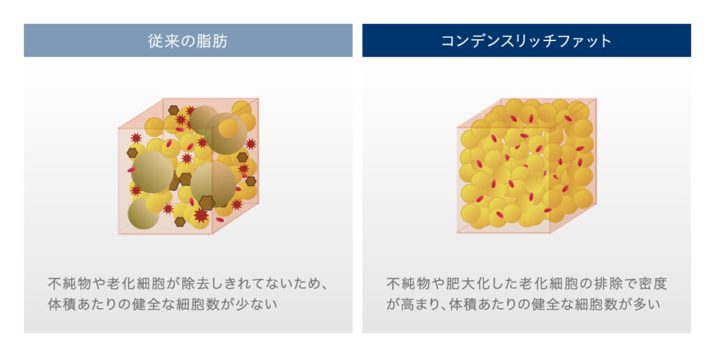 従来の脂肪とコンデンスリッチファットとの違い
