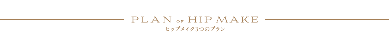 ヒップメイクの3つのプラン