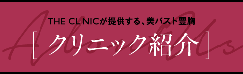THE CLINICが提供する、美バスト豊胸 [ クリニック紹介 ]