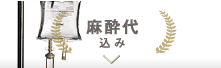 麻酔代込み
