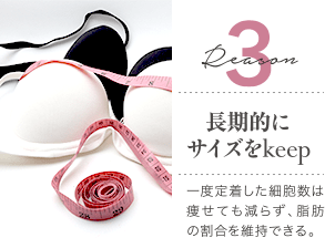 Reason 3 長期的にサイズをkeep / 一度定着した細胞数は痩せても減らず、脂肪の割合を維持できる。