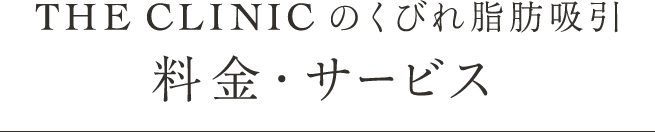 THE CLINIC のくびれ脂肪吸引 料金・サービス