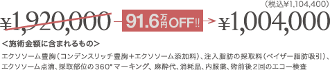 新メニューリリース記念モニター価格:¥1,004,000(税込¥110.4万)、施術金額に含まれるもの:エクソソーム豊胸(コンデンスリッチ豊胸+エクソソーム添加料)、注入脂肪の採取料(ベイザー脂肪吸引)、エクソソーム点滴、採取部位の360°マーキング、麻酔代、消耗品、内服薬、術前後2回のエコー検査