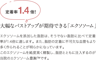 【定着率1.4倍】大幅なバストアップが期待できる「エクソソーム」 | エクソソームを添加した脂肪は、そうでない脂肪に比べて定着率が1.4倍に達します。 また、脂肪の定着に不可欠な血管もより多く作られることが明らかになっています。このエクソソームを純度高く精製し、脂肪とともに注入するのが当院のエクソソーム豊胸™️です。