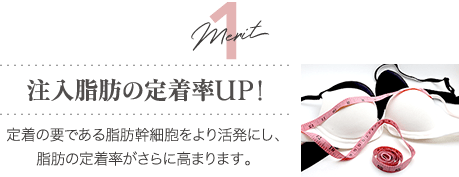 Merit1 注入脂肪の定着率UP！ | 定着の要である脂肪幹細胞をより活発にし、脂肪の定着率がさらに高まります。