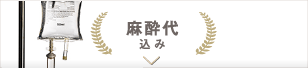 麻酔代込み