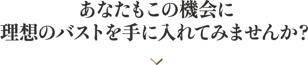 あなたもこの機会に理想のバストを手に入れてみませんか？