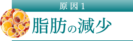 脂肪の減少