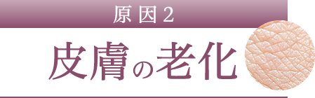 皮膚の老化