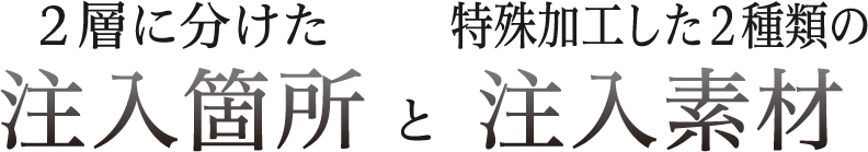 2層に分けた注入箇所と特殊加工した2種類の注入素材