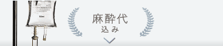 麻酔代込み
