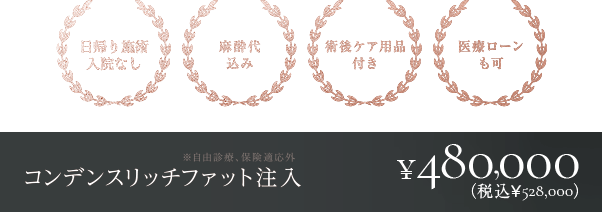 コンデンスリッチファット注入 ¥480,000(税込¥528,000) 交通費補助あり/麻酔代込み/術後ケア用品付き/医療ローンも可 ※自由診療、保険適応外