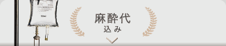 麻酔代込み