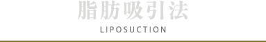 脂肪吸引法