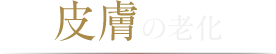 皮膚の老化