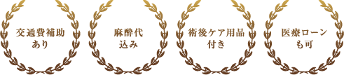 交通費補助あり / 麻酔代込み / 術後ケア用品付き / 医療ローンも可