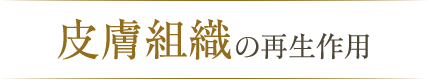 皮膚組織の再生時間