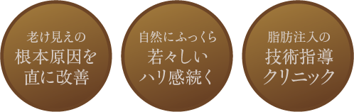 老け見えの根本原因を直に改善 / 自然にふっくら若々しいハリ感続く / 脂肪注入の技術指導クリニック